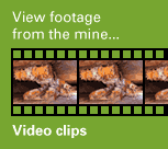 View footage from the mine... Video clips